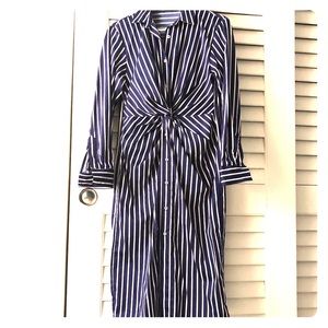 Zara Navy Button Down Dress